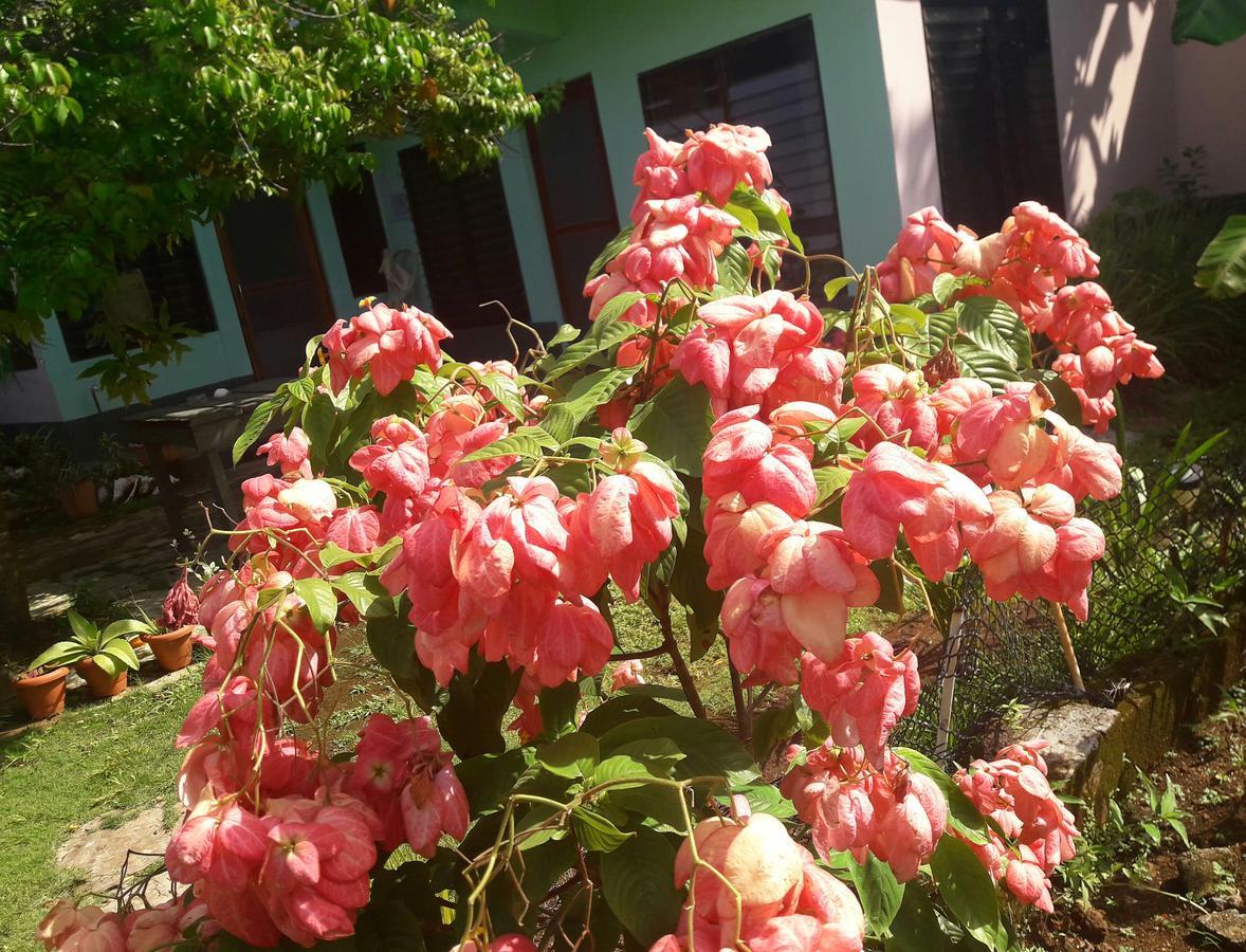 Villy'S Cottage North End Екстериор снимка